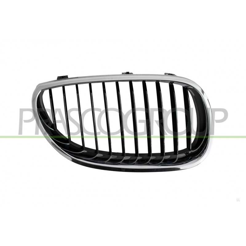 Grille de calandre côté passager Grille de calandre côté passager