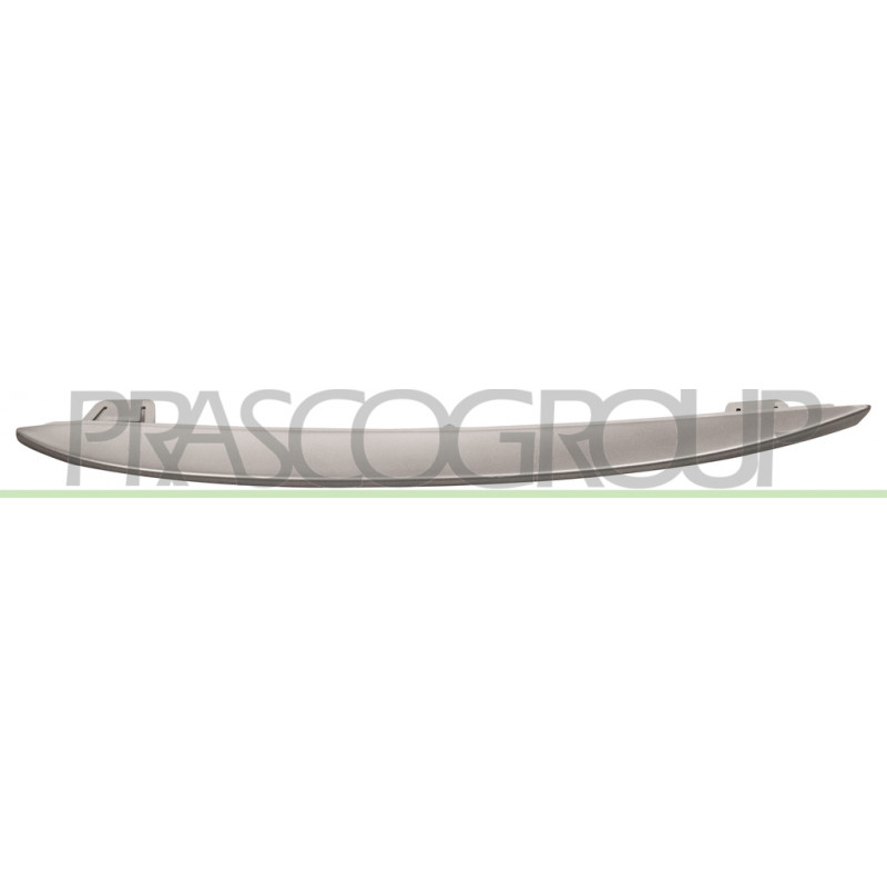 Moulure argent de calandre côté chauffeur Moulure argent de calandre côté chauffeur