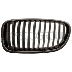 Grille de calandre noir côté chauffeur