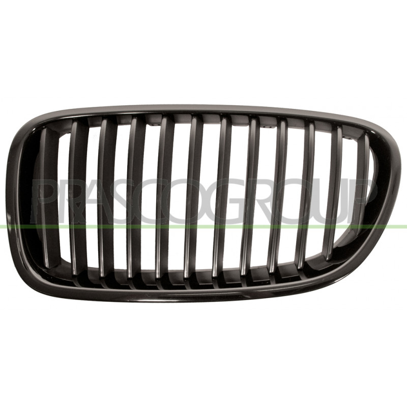 Grille de calandre noir côté chauffeur Grille de calandre noir côté chauffeur