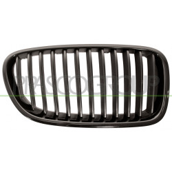 Grille de calandre noire côté passager