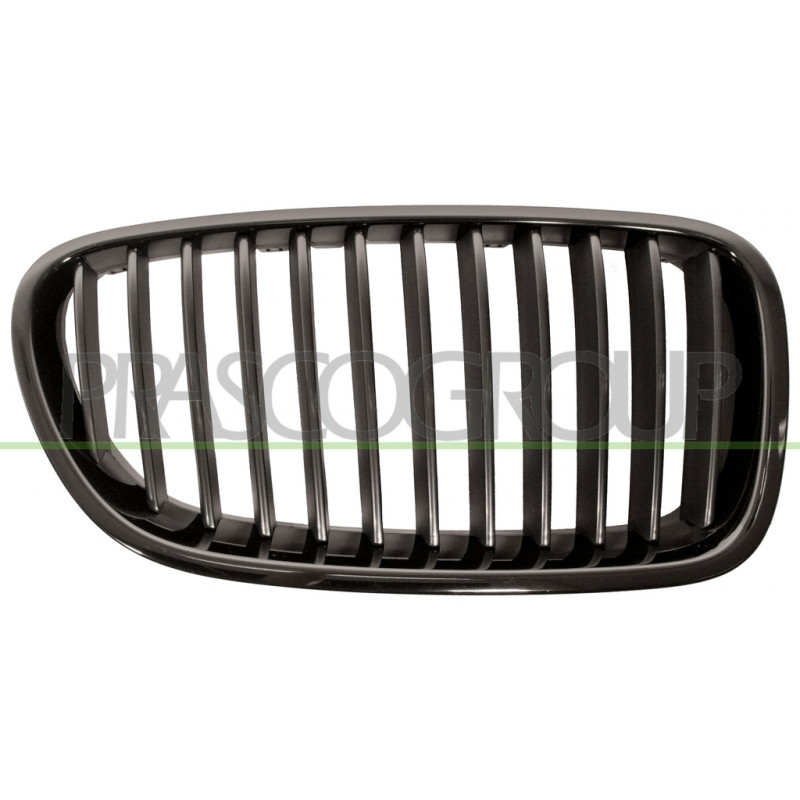 Grille de calandre noire côté passager Grille de calandre noire côté passager