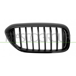 Grille de calandre noire brillant côté passager