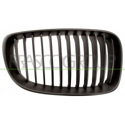 Grille de calandre noire côté passager