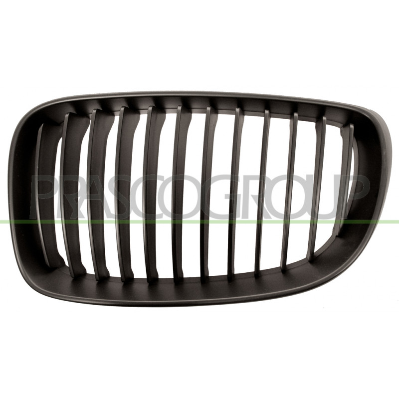 Grille de calandre noir côté chauffeur