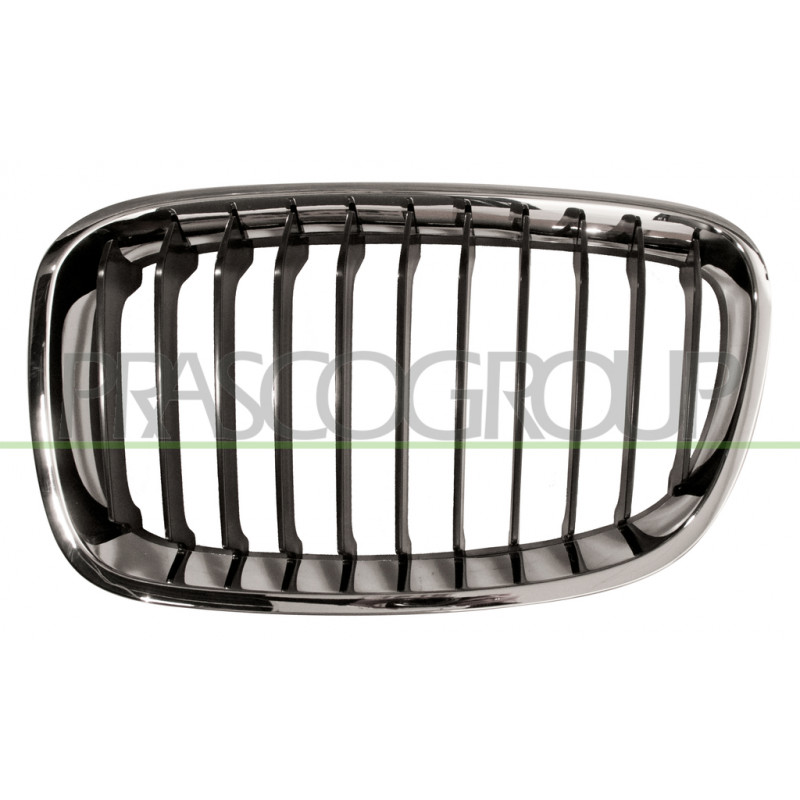 Grille de calandre noir avec cadre chrome côté chauffeur Grille de calandre noir avec cadre chrome côté chauffeur