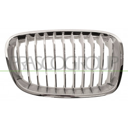 Grille de calandre chrome chrome blanc côté passager