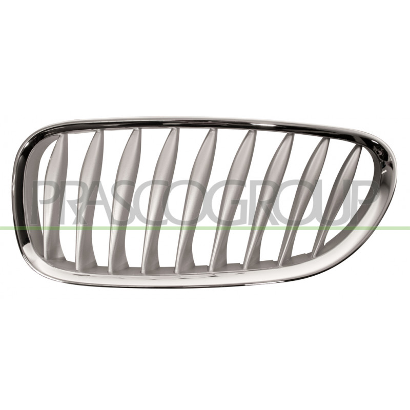 Grille de calandre gris côté chauffeur Grille de calandre gris côté chauffeur