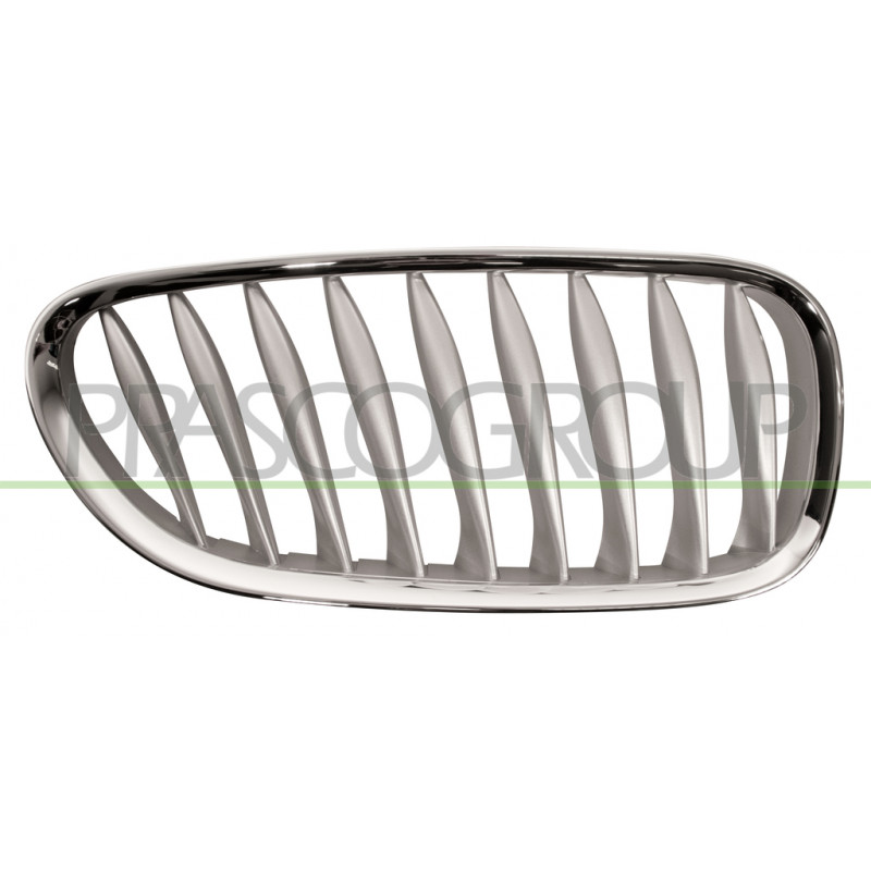 Grille de calandre grise côté passager Grille de calandre grise côté passager