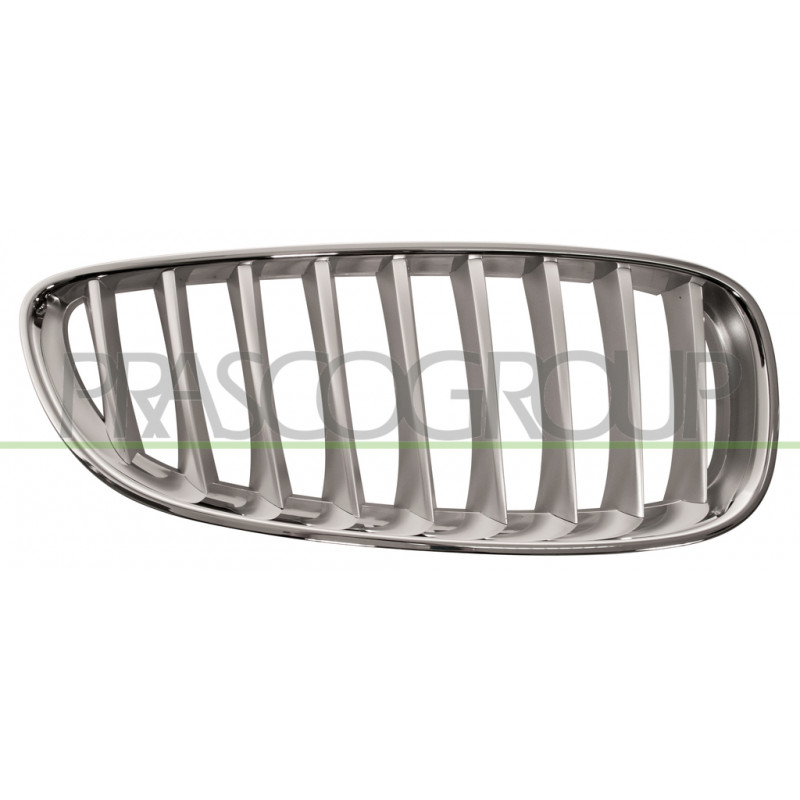 Grille de calandre titane mat côté passager Grille de calandre titane mat côté passager
