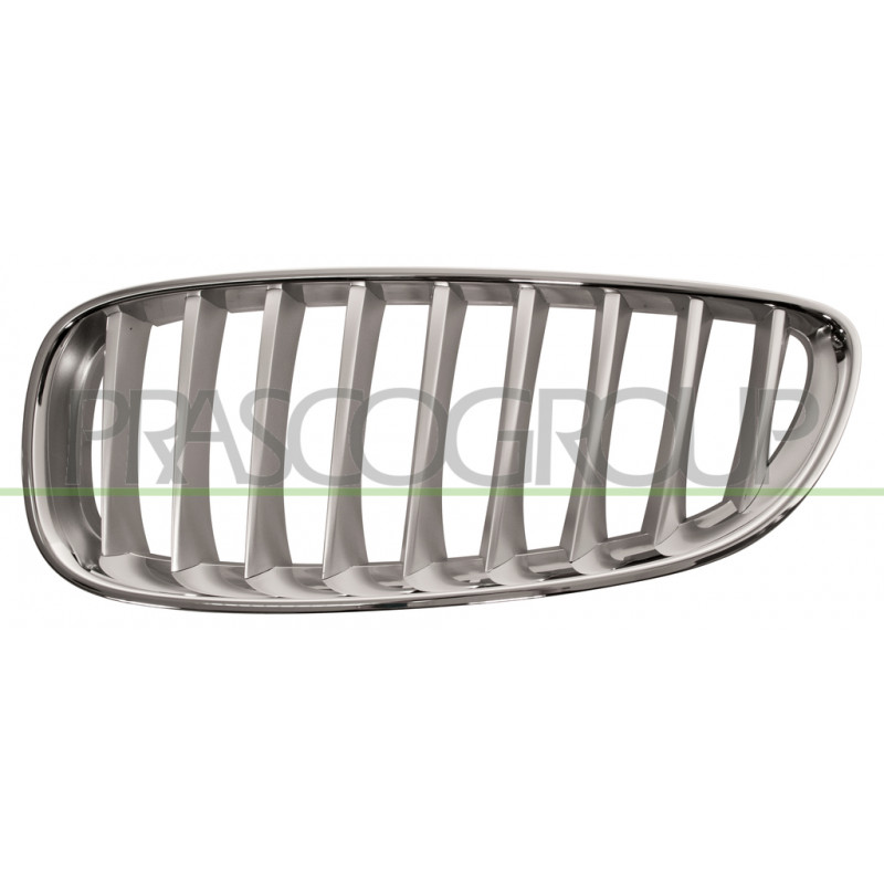 Grille de calandre titane mat côté chauffeur Grille de calandre titane mat côté chauffeur