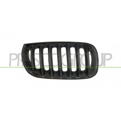 Grille de calandre noire côté passager