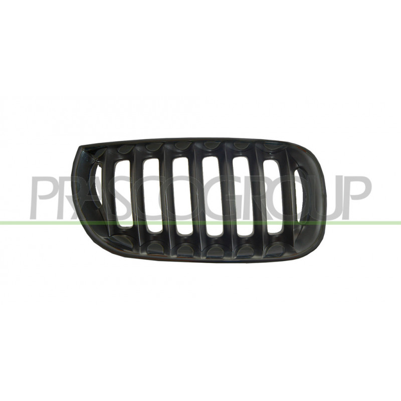 Grille de calandre noire côté passager Grille de calandre noire côté passager