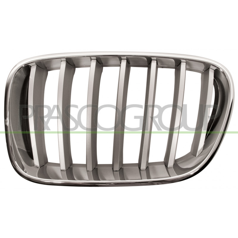 Grille de calandre chrome titane côté chauffeur Grille de calandre chrome titane côté chauffeur