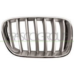 Grille de calandre chrome titanium côté passager