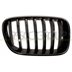 Grille de calandre noire brillant côté passager