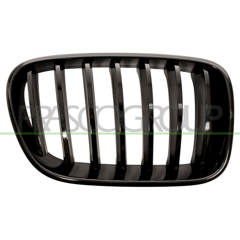 Grille de calandre noire brillant côté passager Grille de calandre noire brillant côté passager