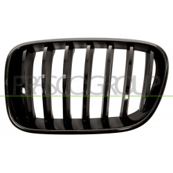 Grille de calandre noir brillant côté chauffeur