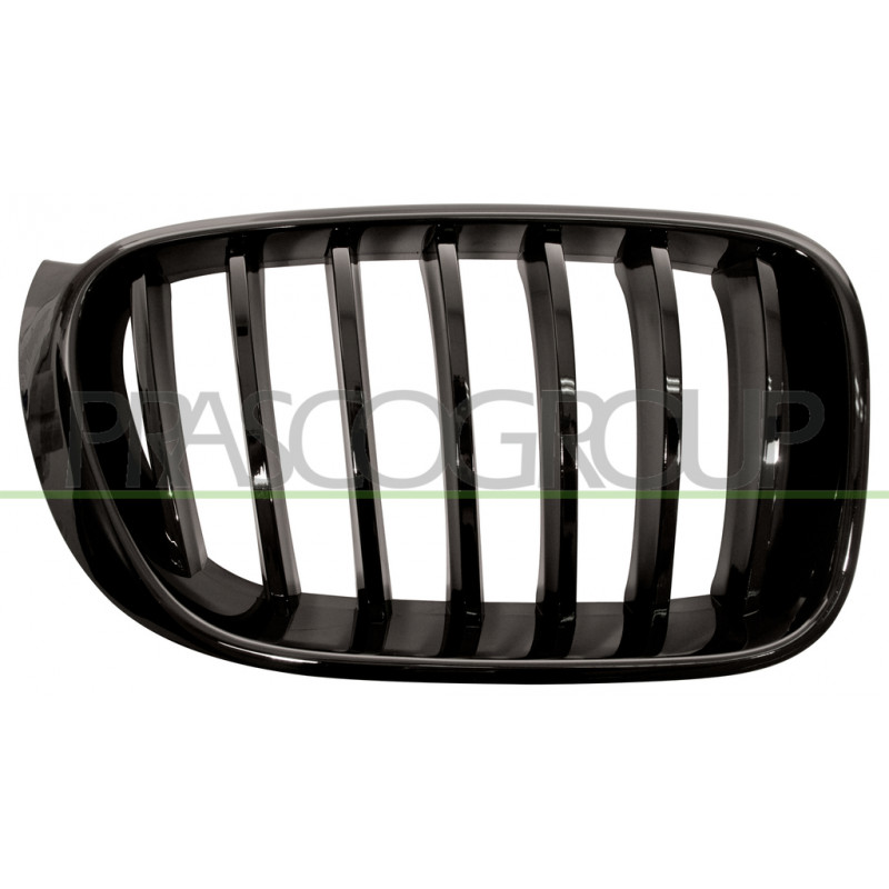 Grille de calandre noire brillant côté passager Grille de calandre noire brillant côté passager