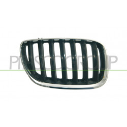 Grille de calandre côté passager