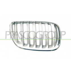 Grille de calandre titane côté passager