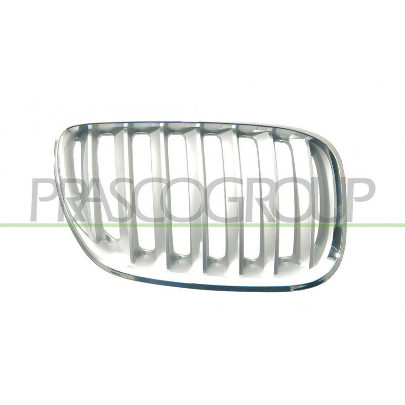 Grille de calandre titane côté passager Grille de calandre titane côté passager