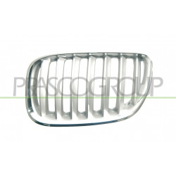 Grille de calandre titane côté chauffeur