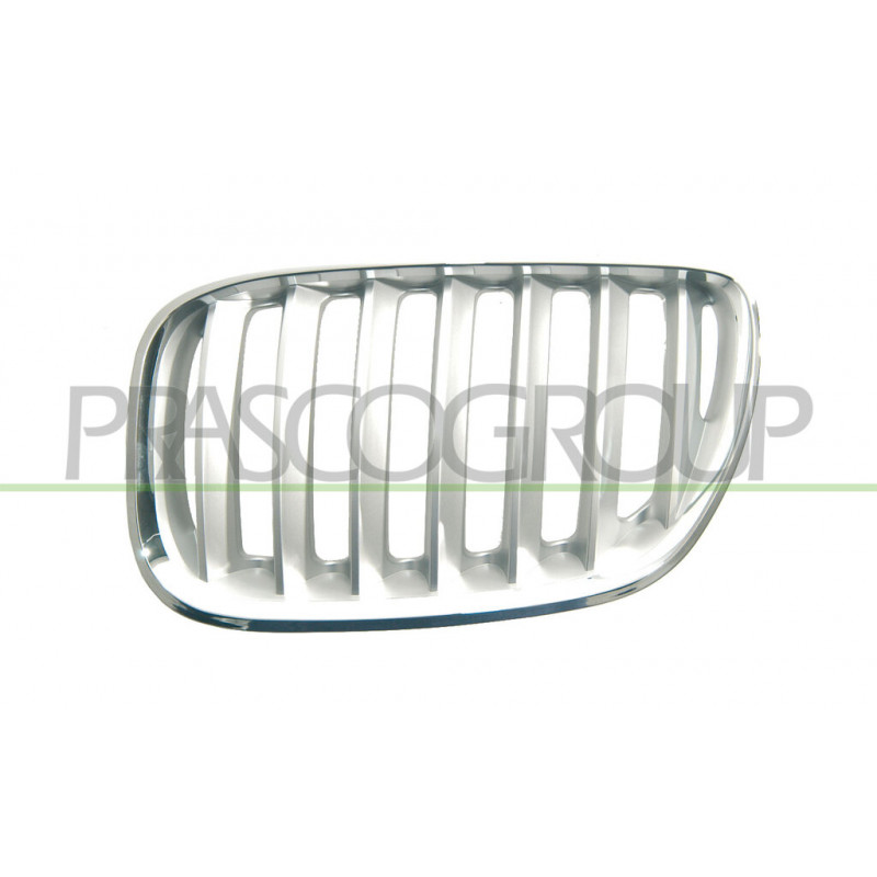 Grille de calandre titane côté chauffeur Grille de calandre titane côté chauffeur