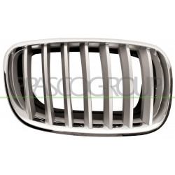 Grille de calandre chrome titane côté passager