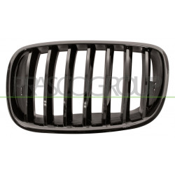 Grille de calandre noir brillant côté chauffeur