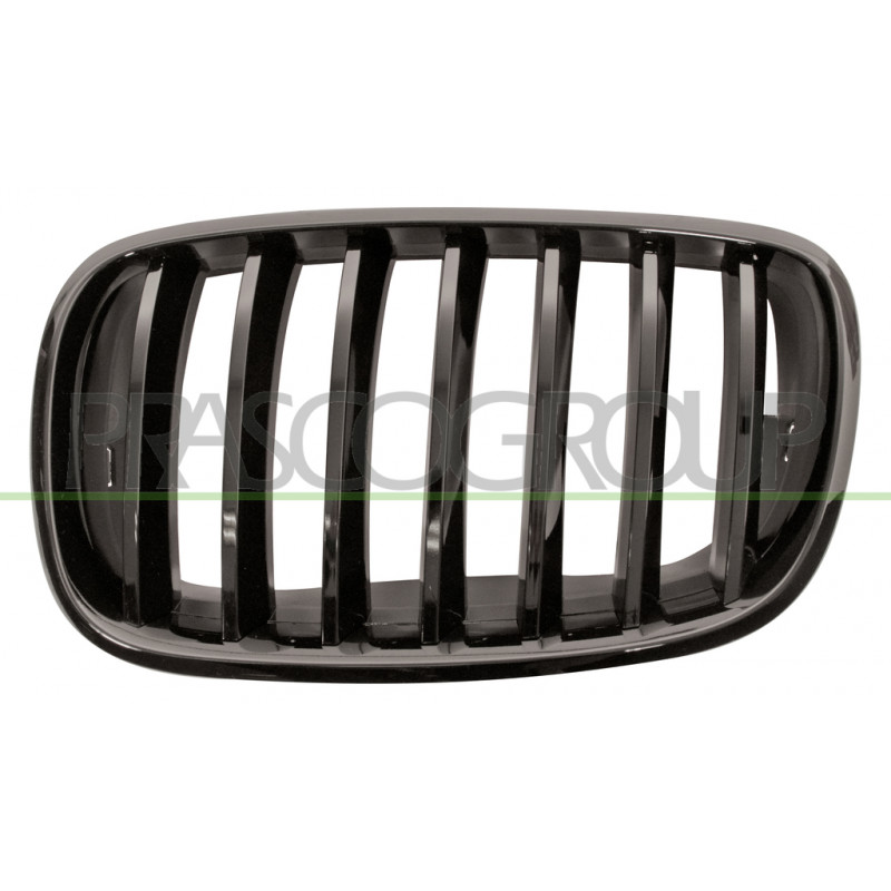 Grille de calandre noir brillant côté chauffeur Grille de calandre noir brillant côté chauffeur