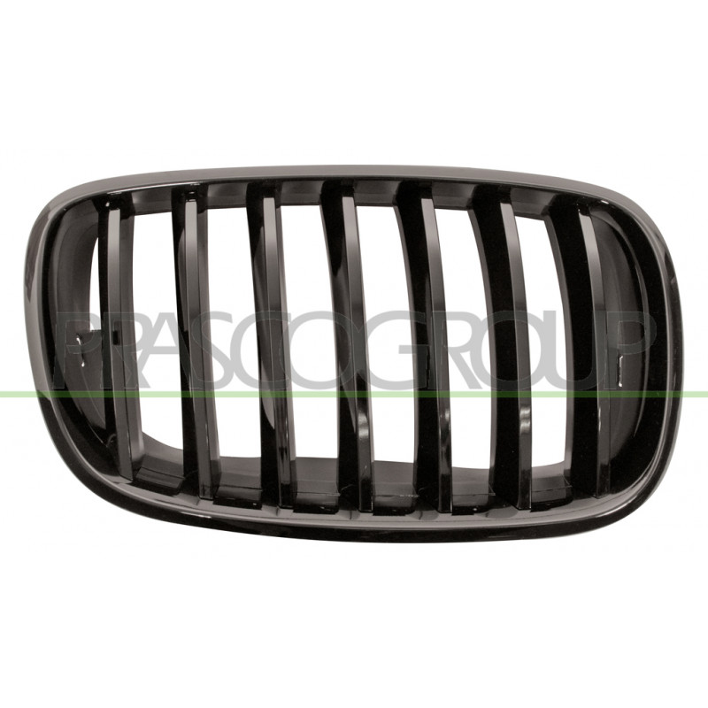 Grille de calandre noire brillant côté passager Grille de calandre noire brillant côté passager