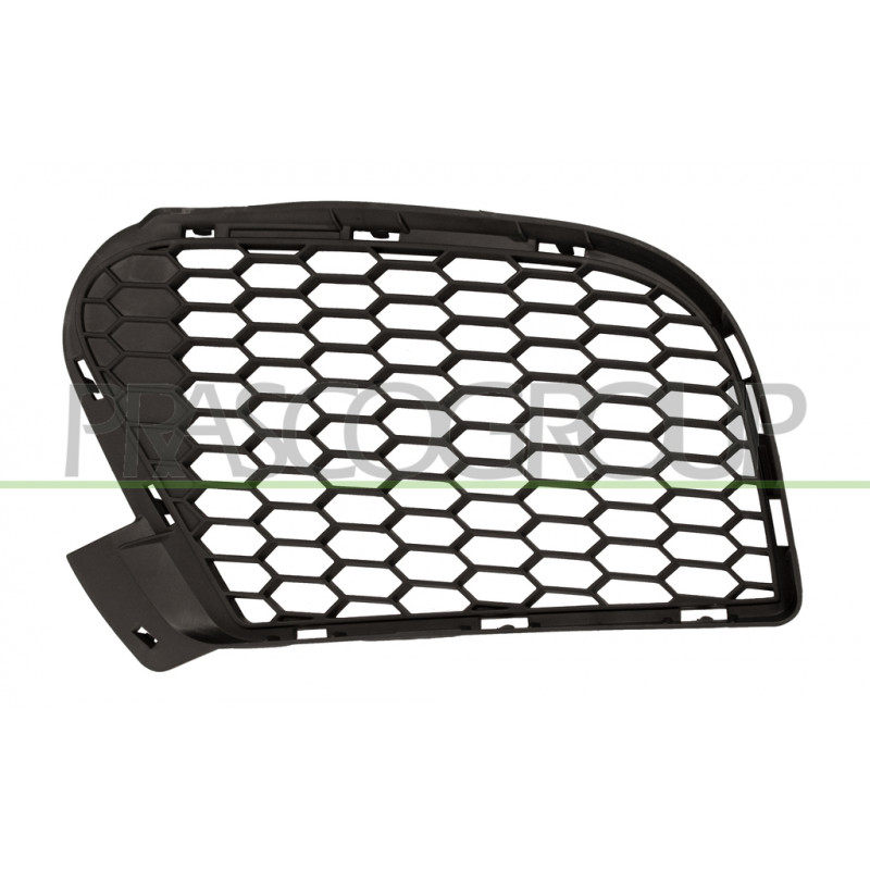 Grille noire de pare-chocs avant côté chauffeur Grille noire de pare-chocs avant côté chauffeur