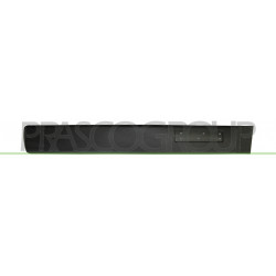 Baguette de porte avant côté passager