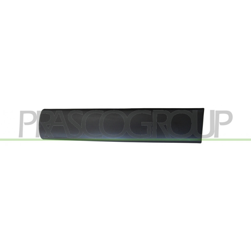 Baguette de porte battante arrière côté passager Baguette de porte battante arrière côté passager
