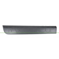 BANDEAU DE PORTE ARRIERE DROITE-AVEC CLIPS-NOIR STRUCTURE'