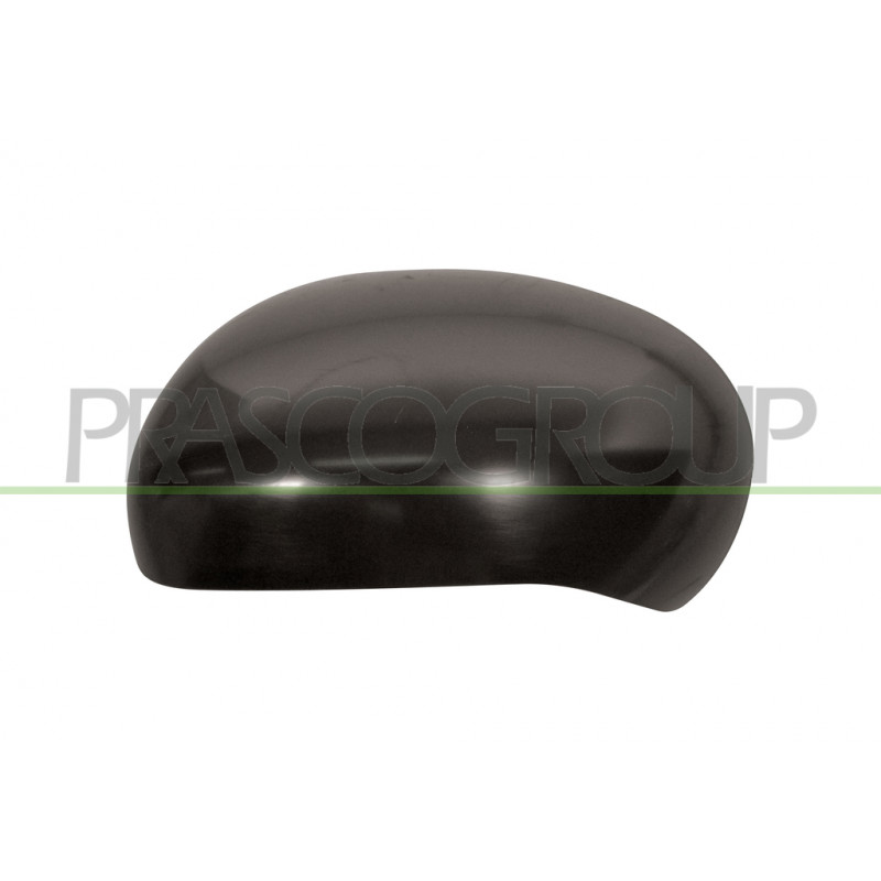 Coque de rétroviseur noir côté chauffeur Coque de rétroviseur noir côté chauffeur
