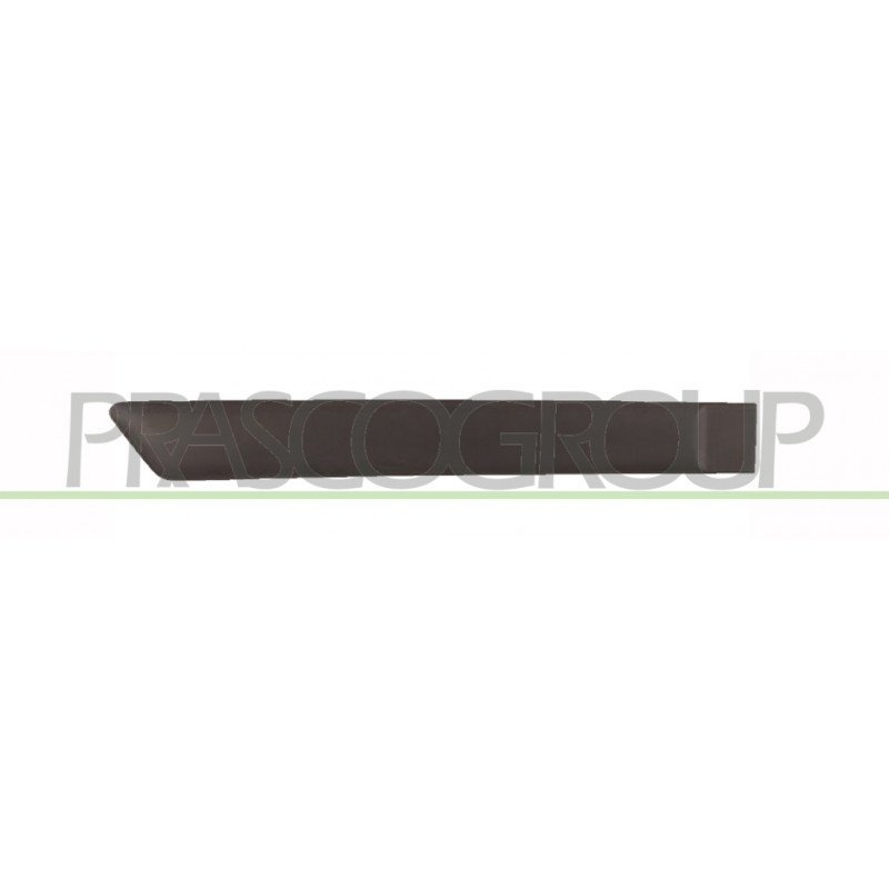 Bandeau noir de porte arrière côté passager Bandeau noir de porte arrière côté passager