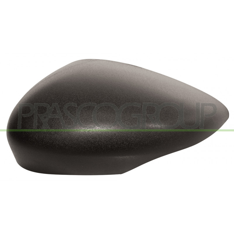 Coque de rétroviseur noir côté chauffeur Coque de rétroviseur noir côté chauffeur