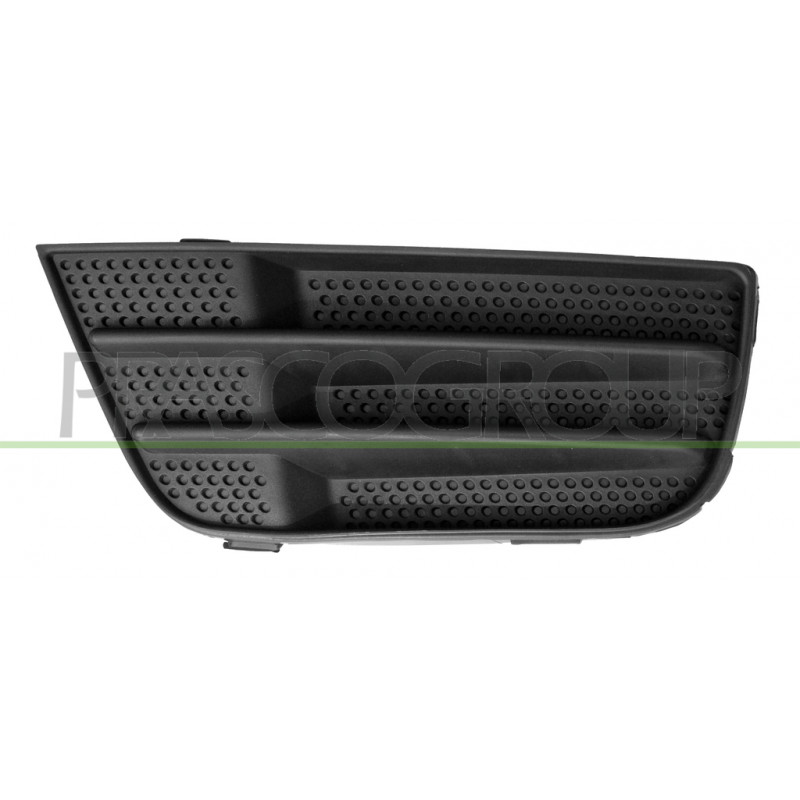 Grille noire de pare-chocs avant côté chauffeur Grille noire de pare-chocs avant côté chauffeur