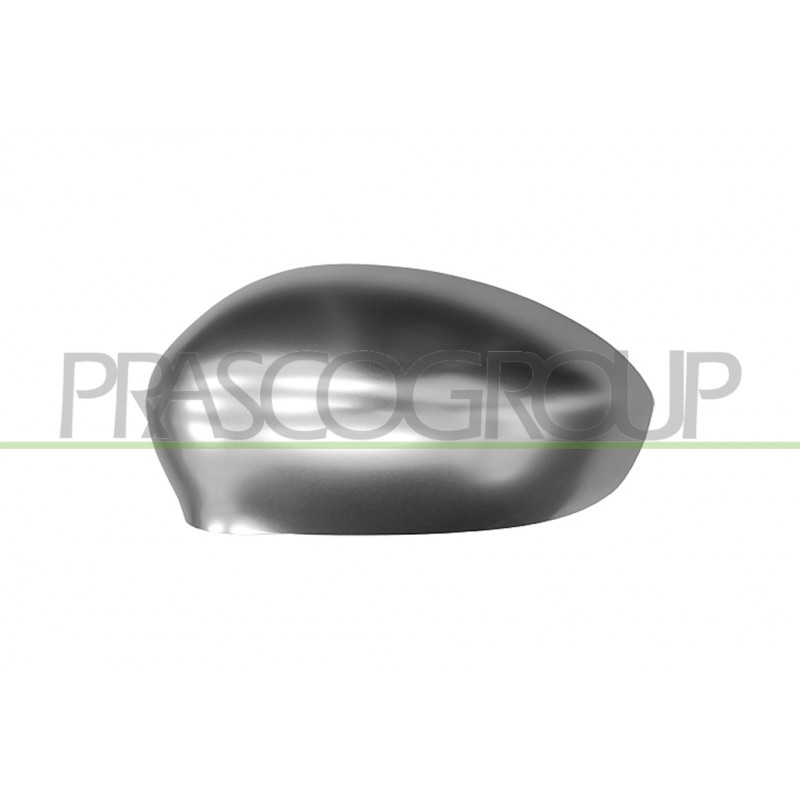 Coque de rétroviseur chrome côté chauffeur Coque de rétroviseur chrome côté chauffeur