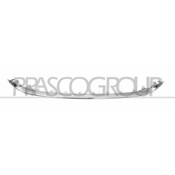 Moulure inférieure chrome de grille de calandre