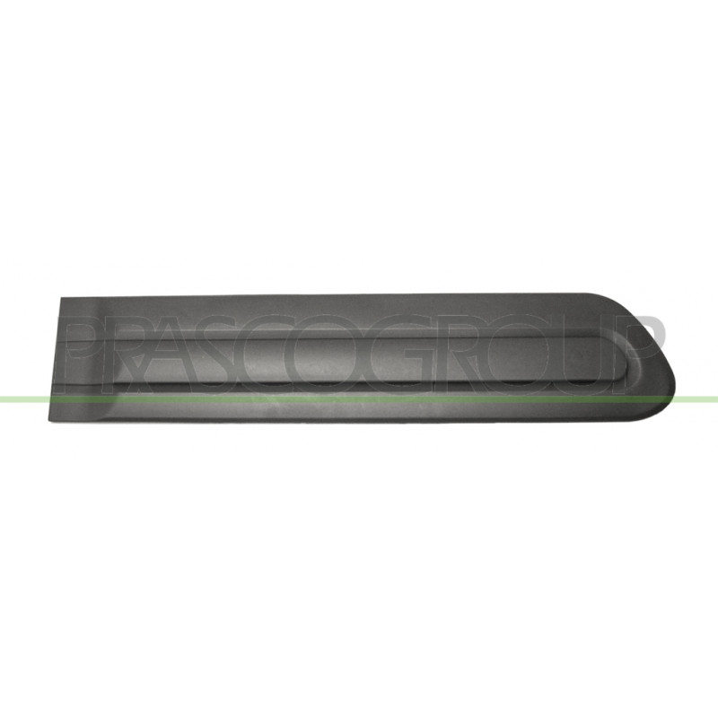 Bandeau noir de porte arrière côté passager Bandeau noir de porte arrière côté passager