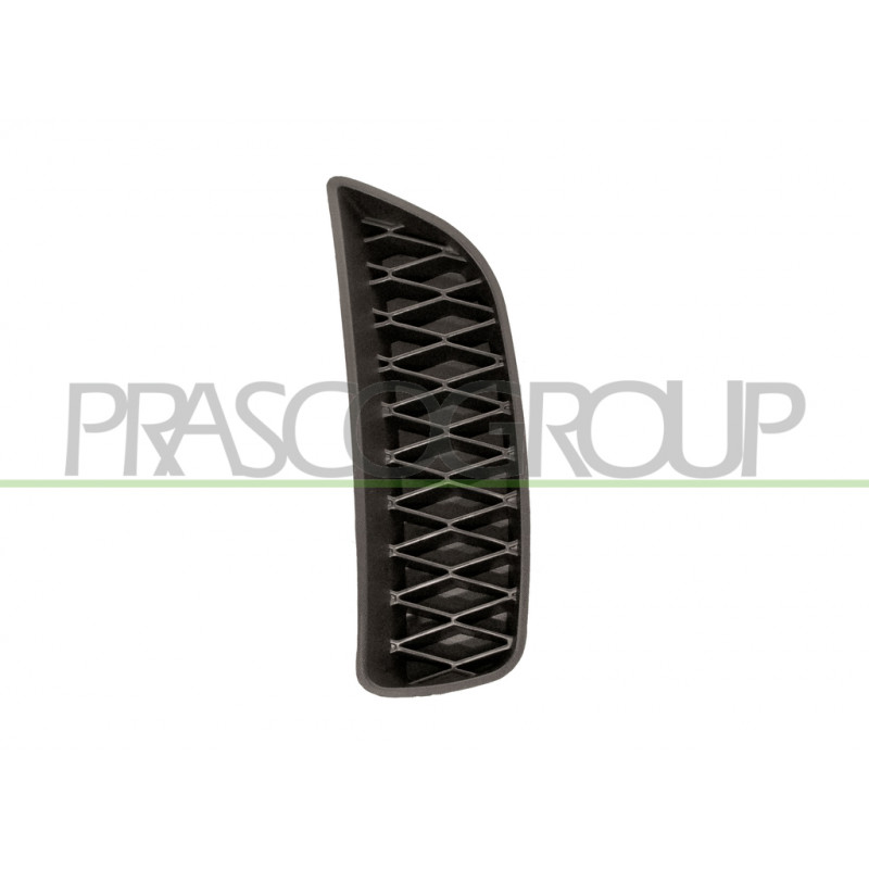Grille noire de pare-chocs avant côté chauffeur Grille noire de pare-chocs avant côté chauffeur