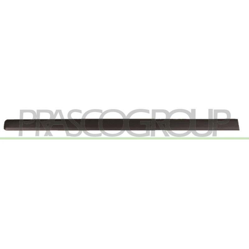 Bandeau noir de porte avant côté chauffeur Bandeau noir de porte avant côté chauffeur