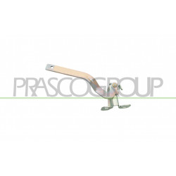 Compas de capot côté passager