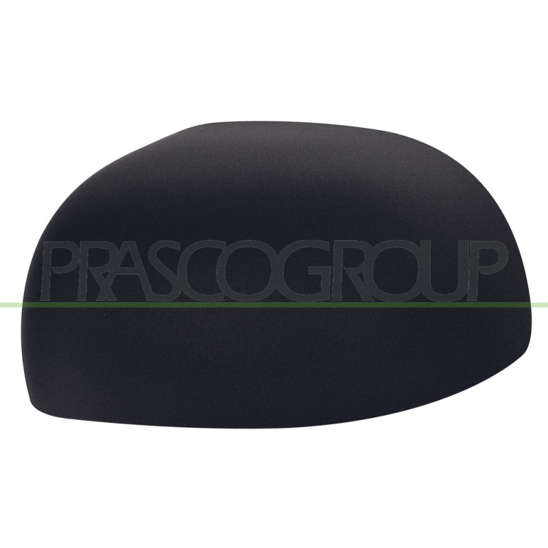 Coque de rétroviseur noir côté chauffeur Coque de rétroviseur noir côté chauffeur