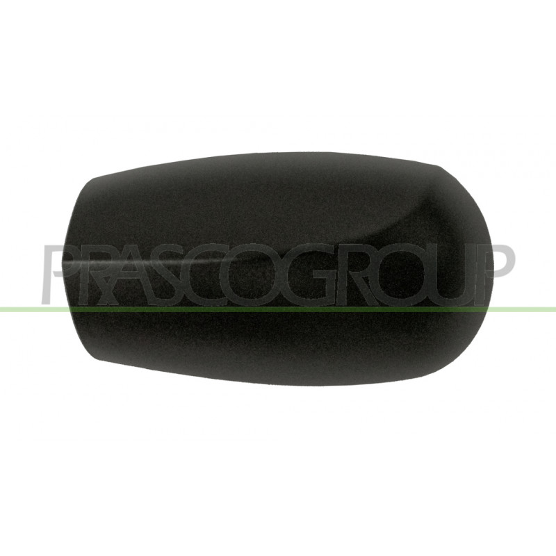 Coque de rétroviseur noir côté chauffeur Coque de rétroviseur noir côté chauffeur