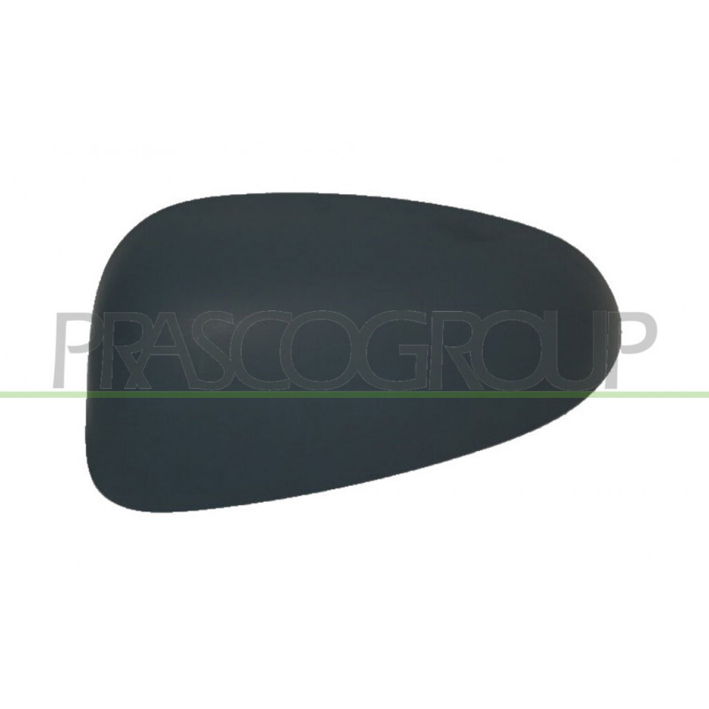 Coque de rétroviseur noir côté chauffeur Coque de rétroviseur noir côté chauffeur