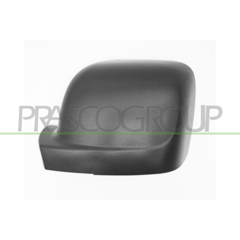 Coque de rétroviseur noir côté chauffeur Coque de rétroviseur noir côté chauffeur